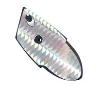 Esche Artificiali Per La Al Salmone - Esche Artificiali Per La Alla Trota | Escche Robusti Attrezzatura Outdoor Per Papà Principianti Adulti - Spiaggia Torrente Lago