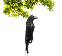 Esche Corvo Per Attirare Uccelli, Decorazione Da Giardino Esche Da Caccia Corvo, Riproduzione Animale Per Decorazione Esterna Spaventosa Casa Stregata Fantasma