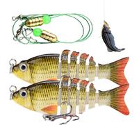 Esche da - 2 pezzi Esca segmentata per trota d'acqua, esche per al bar | per la di lucioperca, trota, salmone, pesce gatto, acqua salata e acqua