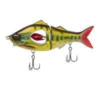 Esche da nuoto, esche da nuoto per la al bar - Esche da bar multi-snodate, esche da innovative per laghi, fiumi, acque poco profonde e profonde