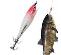 Esche Da Per Il Bar - Esche Da Luminose E Galleggianti per Acqua Salata | Portatili Regali per Padre Nonno Figlio Famiglia