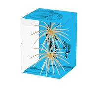 Esche da pesca al pesce persico - Due esche morbide realistiche nuotatori - per trota accessori da pesca - per pesce gatto, crapet, oro, salmone, luccio, mare, lago, fiume