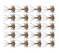 Esche morbide per mosca: 20 componenti artificiali della mosca e del corpo della NINFA, kit di assortimento di gancio con mosca a mano | Esche ispirate a insetti realistici per l