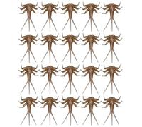 Esche morbide realistiche di un giorno, set di 20 esche per alla trota, assortimento di a mosca ninfa, parti del corpo per trote basse, per legare per pescatori