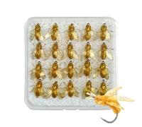 Esche per a mosca, 20 pezzi, imitazione delle, per la con contenitore per acqua e salata, fiumi e stagni