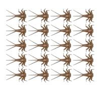 Esche Per La A Mosca Per Basso - Effimere Realistiche 20x | Esche Per Trota Legate A Mano, Componenti Del Corpo Della Ninfa, Set Realistico Per La A Mosca Per Il Salmone, Attrezzatura Da P