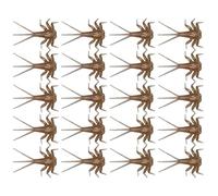 Esche per la a mosca sul pesce persico - a mosca per trote | legatura a realistiche di un giorno, 20 pezzi | Esche legate a mano per la alla trota, componenti del corpo ninfa
