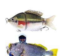 Esche Per Nuoto - Attrezzatura Da Realistica Con Ami, Esca Morbida A Articolazioni Multiple - Per Esterna in Serbatoio Fiume Stagno sulla Berge in Acqua e Acqua Salata Nuda