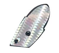 Esche per salmone d'orzo | Amo per trota da trascinamento | Strumento resistente per esterni per adulti Lago stagno | Ribera fiume Marino Salmone