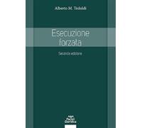 Esecuzione forzata