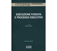 Esecuzione forzata e processo esecutivo