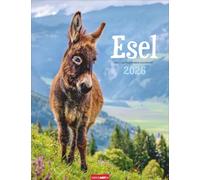 Esel Kalender 2026: Jahres-Wandkalender mit Fotos von Jean-Louis Klein und Marie-Luce Hubert. Tierkalender mit süßen Eselfotos. Planer mit Platz zum Eintragen. Hochformat 30x39 cm