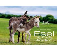 Esel Kalender 2027: Der Tierkalender mit den charmanten Namen Wandkalender