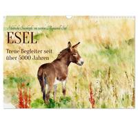 Esel - Treue Begleiter seit über 5000 Jahren (Wandkalender 2027 DIN A3 quer), CA