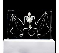 Esemplare Campione di Scheletro di Pipistrello Esemplare di Animali in Blocco Acrilico Fermacarte Collezione di Resine Display Creature Aula di Educazione Scientifica