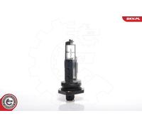 ESEN SKV 07SKV002 Debimetro per VOLVO