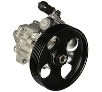 ESEN SKV 10skv009 Servo pompe