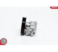 Servo Pompa Esen Skv 10SKV022 Audi A4 (B6,B7); 1,6 1,8T 2,0 Motore Benzina;