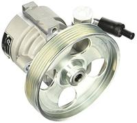 ESEN SKV 10skv163 Servo pompe