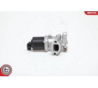 ESEN SKV 14skv031 AGR di valvole