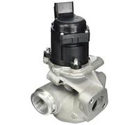 ESEN SKV 14skv071 AGR di valvole