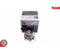 ESEN SKV 14SKV206 Valvola EGR per AUDI,SEAT,VW