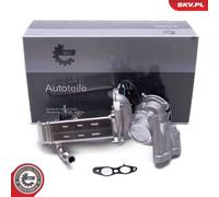 Valvola aria secondaria 14SKV238 ESEN SKV per PEUGEOT FORD CITROËN