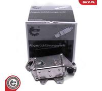 Radiatore gas di scarico 14SKV249 ESEN SKV per FIAT ALFA ROMEO OPEL