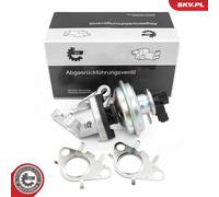 ESEN SKV 14SKV285 Valvola EGR per BMW,MINI,TOYOTA