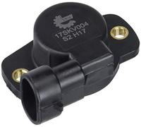 ESEN SKV 17skv004 impianto iniezione