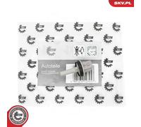 ESEN SKV 17SKV983 Sensore, Temperatura abitacolo per AUDI,SKODA,VW