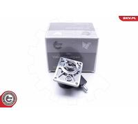ESEN SKV 18SKV027 Pompa depressione, Sistema frenante per CITROËN,FIAT,IVECO,PEU