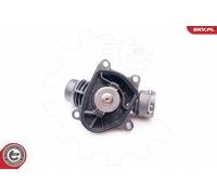 Termostato per BMW | 20SKV064, VTK132, 69188, QTH676K, 20SKV064, T403932