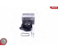 ESEN SKV 20SKV157 Flangia refrigerante per FORD Fiesta Mk6 Hatchback (JA8, JR8)