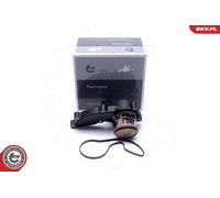 Termostato, refrigerante per AUDI A4 A6 A6 Allroad A8