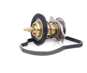 ESEN SKV 20SKV214 Termostato motore