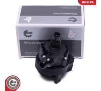 ESEN SKV 22SKV039 Pompa acqua ausiliaria
