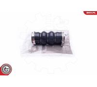 ESEN SKV 24SKV789 Flessibile aria alimentazione per FIAT Scudo (270, 272)