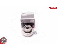 ESEN SKV 29SKV102 Kit cuscinetto ruota per AUDI,RENAULT,SKODA