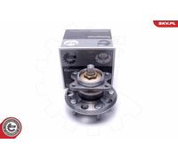 ESEN SKV 29SKV487 Kit cuscinetto ruota per HYUNDAI,KIA