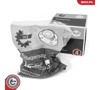 ESEN SKV 29SKV703 Kit cuscinetto ruota per RENAULT