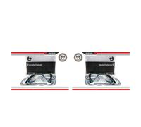 ESEN SKV 2X Alzavetro Elettrico Posteriore Sinistro Destro Per VW Passat Variant