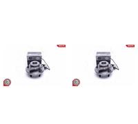 ESEN SKV 2x Cuscinetto Ruota Mozzo Asse Ant. per Dodge RAM 1500 Pick-Up Dj