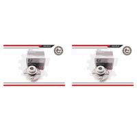 ESEN SKV 2x Cuscinetto Ruota Mozzo Asse per Nissan Almera II Hatchback N16