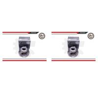 ESEN SKV 2x Cuscinetto Ruota Mozzo Asse per Ssangyong Korando Actyon II