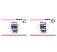 ESEN SKV 2x Cuscinetto Ruota Mozzo Asse Posteriore Destro SX per Subaru Tribeca
