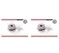 ESEN SKV 2x Cuscinetto Ruota Mozzo Frontale per Alfa Romeo 159 Sportwagon Ragno
