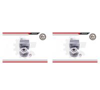 ESEN SKV 2x Cuscinetto Ruota Mozzo Frontale per BMW X5 X6 F15 F85 E70 E71 E72