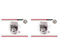 ESEN SKV 2x Cuscinetto Ruota Mozzo Frontale per Smart Forfour Mitsubishi COLT VI