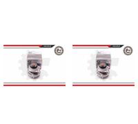 ESEN SKV 2x Cuscinetto Ruota Mozzo Posteriore per Chrysler Voyager IV